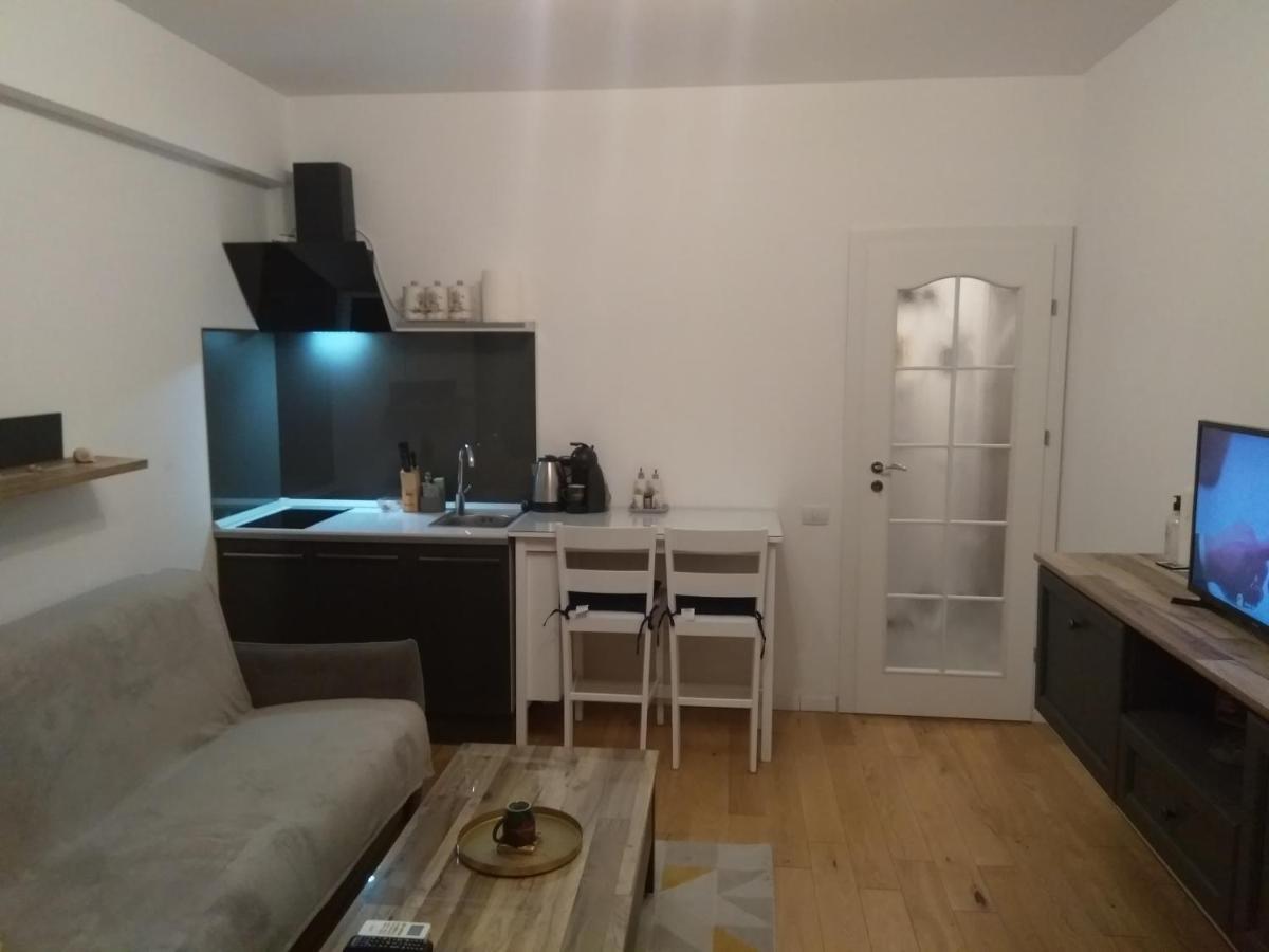 Studio Oxford-Campus Sat Vacanta Констанца Екстериор снимка